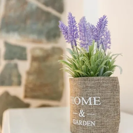 αnastasia Apartman Mavrovúni